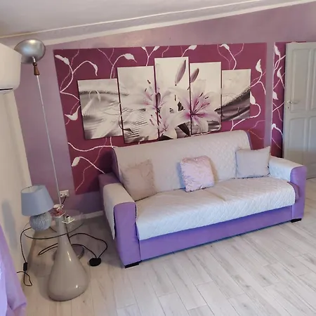 Apartman Domus Iolanda *